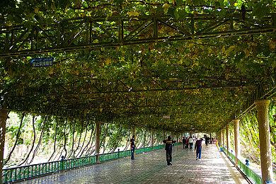 女性RPG《蓝色反射：帝》试玩版现已登陆PS4和Switch